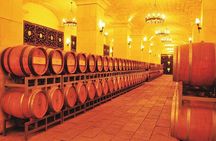 5-Hour Private Changyu Chateau Wine Tasting Tour from Beijing