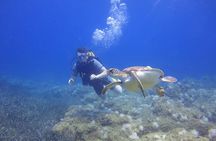 Side: Scuba Diving Under Water Museum