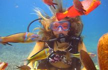 Side: Scuba Diving Under Water Museum