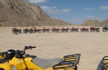 Sharm Sunset Quad Biking ride, Show, Dinner