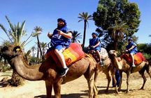Camel Ride, Quad Bike Adventure and Spa Treatment in Marrakech