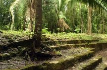 Costa Maya Shore Excursion: Chacchoben Day Trip
