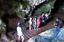 Los Haitises Plus Bacardi Island for Samana Cruise Ship Travelers