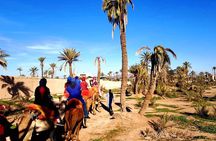 Camel Ride and Spa Treatment in Marrakech