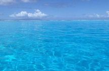 Combo Diving and Snorkeling Half-Day Tour