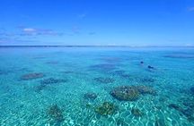 Bora Bora: Luxury Private Half Day Snorkeling Tour