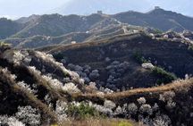 All-Inclusive Private Wild Great Wall Hiking Tour at Gubeikou