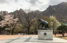 Mt. Seorak+Nami Island+Garden of Morning Calm Day Trip from Seoul