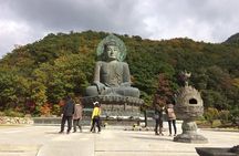 Mt. Seorak+Nami Island+Garden of Morning Calm Day Trip from Seoul