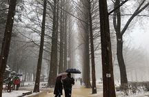 Nami Island and Petite France with The Garden of Morning Calm One Day Tour