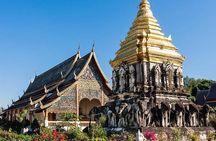 Private Chiang Mai City Tour including Wat Doi Suthep, Wat Suan Dok (SHA Plus)
