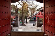 Private Day Trip to see Shaolin Temple and Longmen Grottoes from Beijing