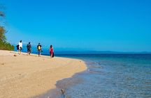 Half Day Low Isles Snorkelling Tour from Port Douglas