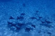 Full-Day Private Boat Tour of Bora Bora Lagoon with Snorkel