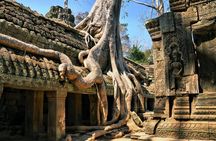 Personalised Angkor Wat Day Tour by an Air-conditioned Car