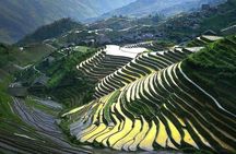 Full-day Tour: Longji Rice Terraces & Minority Villages