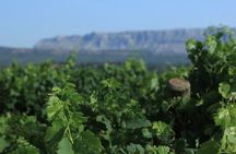 Cotes de Provence Wine Tour from Aix-en-Provence