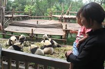Half-Day Chengdu Panda Research Base Private Tour