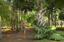 Mauritius North Tour - Full Day Excursion