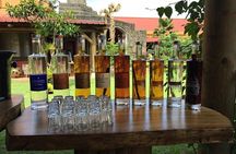 Mauritius South West Tour - Full Day