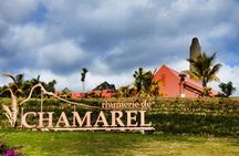 Mauritius South West Tour - Full Day