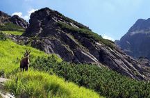 Hiking in the Tatra Mountains, private tour from Krakow