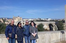 Cordoba & Carmona with Mezquita, Synagoge & Patios from Seville