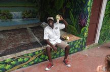 Monkeyland and Plantation Safari Tour from Punta Cana