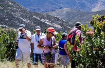 Swartberg Pass Tour including Traditional Karoo Lunch