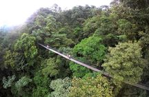 Suspension Bridges, Fortuna waterfall, Typical lunch