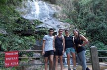 Pico da Tijuca Hiking Tour in Tijuca Forest National Park