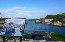 Private Luxury Causeway Coast Rope Bridge & Giant's Causeway Tour