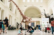 Field Museum of Natural History All-Access Pass 