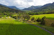 Natural Bridge & Springbrook Waterfalls Tour