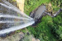 Natural Bridge & Springbrook Waterfalls Tour