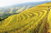 From Guilin/Yangshuo: Longji Rice Terraces and Ethnic Minority Village Day Tour