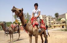 5 Days Golden Triangle Tour With Pushkar