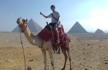 Private sightseeing Tour: Giza Pyramids & Memphis & Saqqara & camel ride