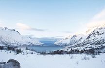 Arctic Fjords Road Trip