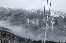 Guided Sightseeing Tour in Vancouver, Shannon Falls and Whistler