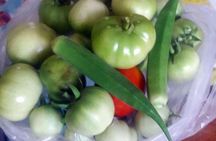 Private South Indian Cooking Class and Market Visit in Chennai