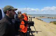 Birding & Photography Day Trip to Doñana from Seville