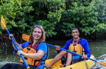Bio Bay Night Kayaking with Transport from San Juan 