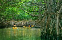 Bio Bay Night Kayaking | Laguna Grande, Fajardo