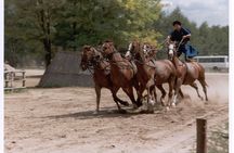 Budapest Puszta Day Trip to Kecskemet with Horse Show & Lunch
