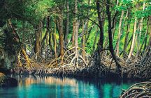 Private Trip to Los Haitises from Sabana De La Mar