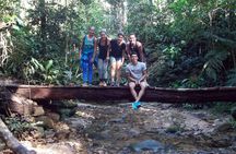 Bico do Papagaio Hiking Tour at Tijuca National Park