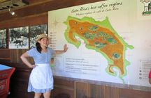 Britt Coffee Tour from San José