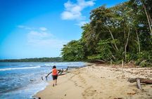 Full-Day Tour to Cahuita National Park from Puerto Limon