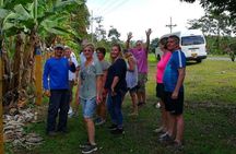 Full-Day Tour to Cahuita National Park from Puerto Limon